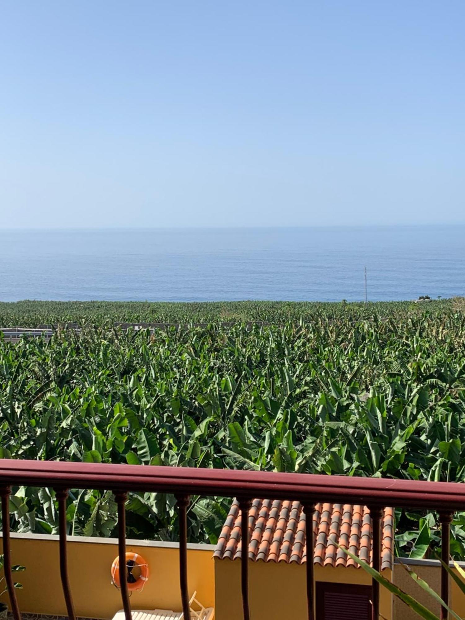 Apartamento Los Guirres Tazacorte Buitenkant foto
