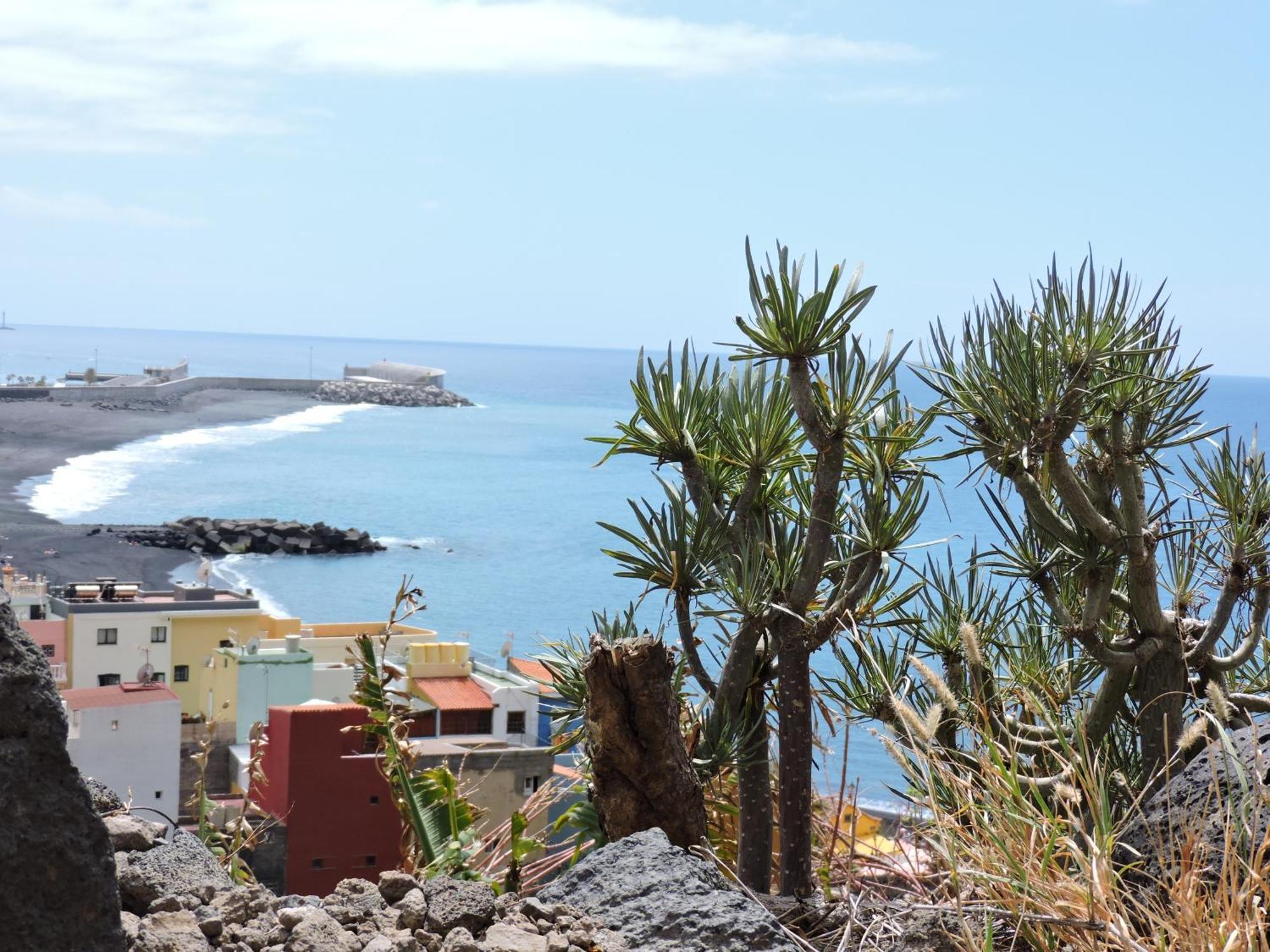 Apartamento Los Guirres Tazacorte Buitenkant foto